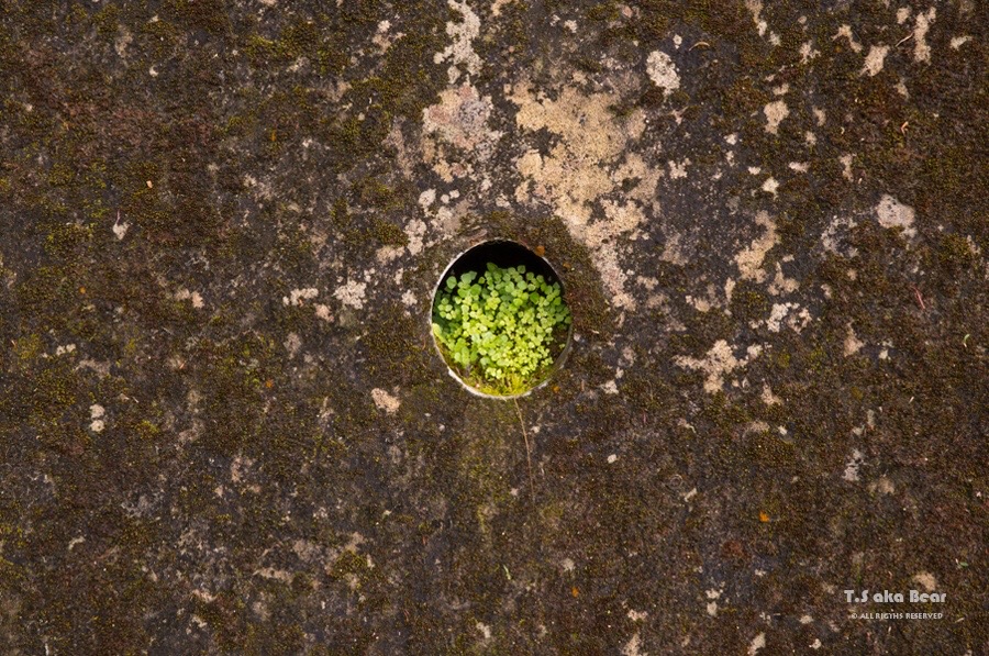 Conceptual Photography - 12 Variations of hole by Tiong-seah Yap (T.S aka Bear) © Year 2018 All rights reserved @tsakabear @tiongseahyap https://tsakabear.com