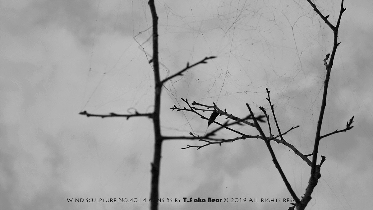 Conceptual sculpture | Wind sculpture No.40 | 4 Mins 5s by Tiong-seah Yap [ T.S aka Bear ] © 2019