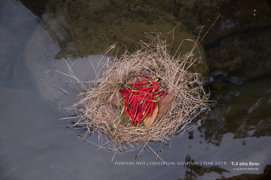 Conceptual sculpture - Floating nest by Tiong-seah Yap (T.S aka Bear)Year 2018 © All rights reserved @tsakabear https://tsakabear.com