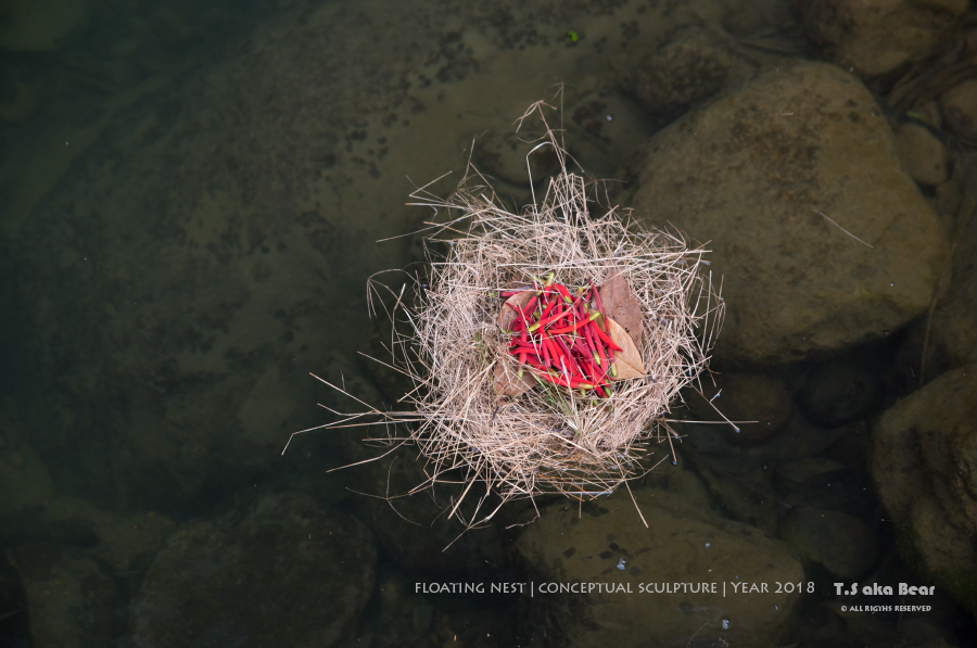 Conceptual sculpture - Floating nest by Tiong-seah Yap (T.S aka Bear)Year 2018 © All rights reserved @tsakabear https://tsakabear.com